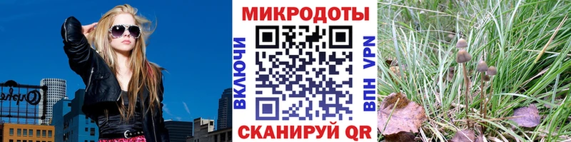 Псилоцибиновые грибы Magic Shrooms  даркнет сайт  Бавлы 