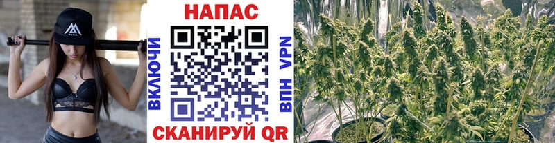 Бошки марихуана VHQ  Бавлы 